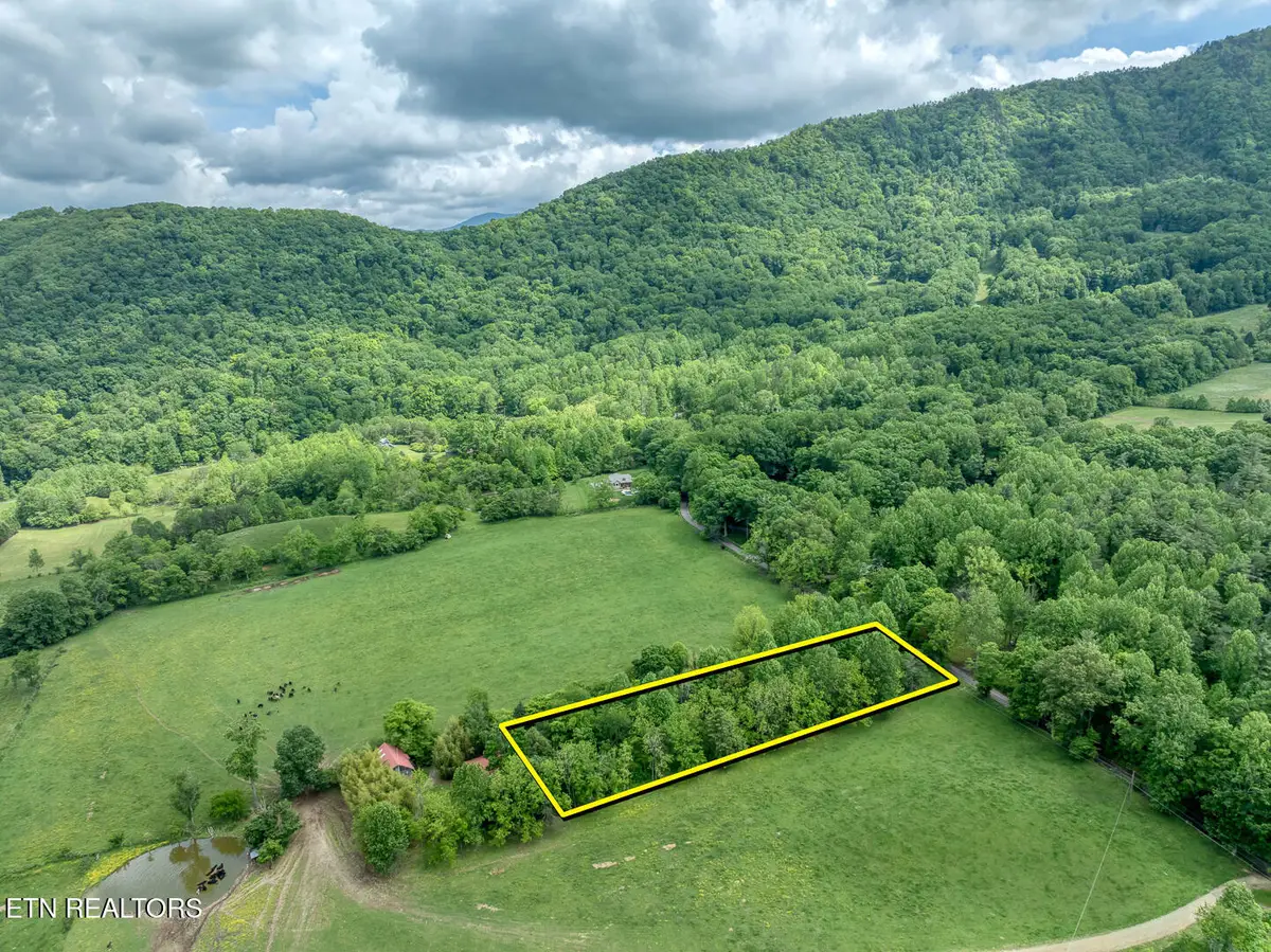1153 Schoolhouse Gap Rd, Townsend, TN 37882 - Image #1