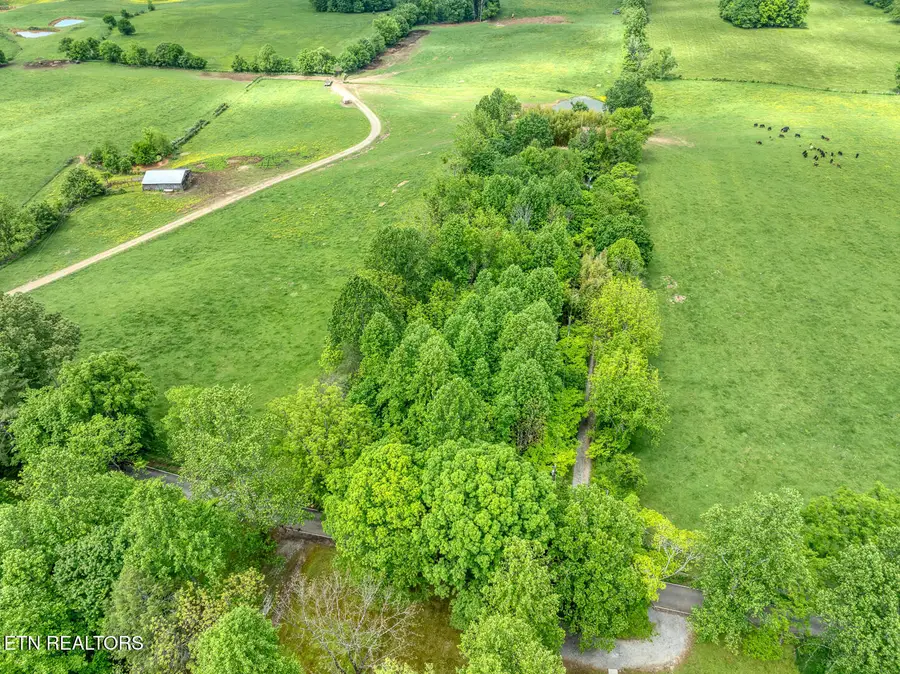 1153 Schoolhouse Gap Rd, Townsend, TN 37882 - Image #2
