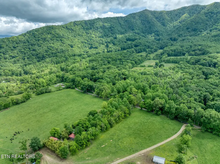 1153 Schoolhouse Gap Rd, Townsend, TN 37882 - Image #3