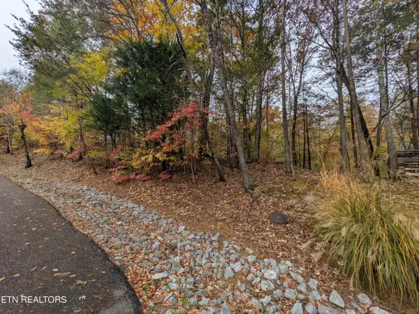 517 Clearwater Circle, Townsend, TN 37882