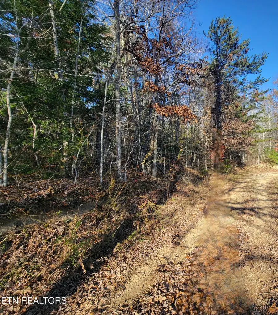 Kidd Mill Rd, Oneida, TN 37841 - Image #3