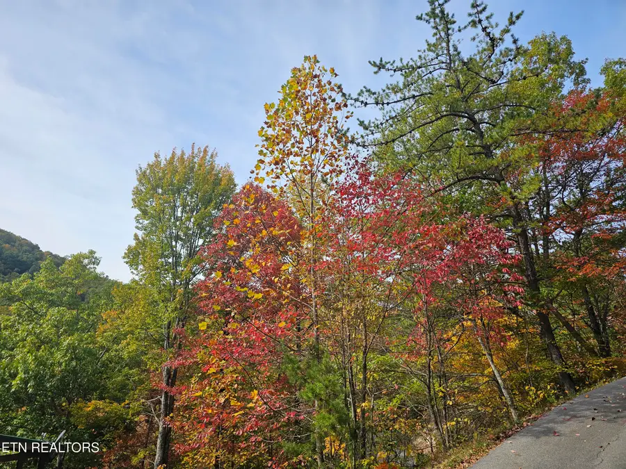 Denton Court, Sevierville, TN 37862 - Image #2