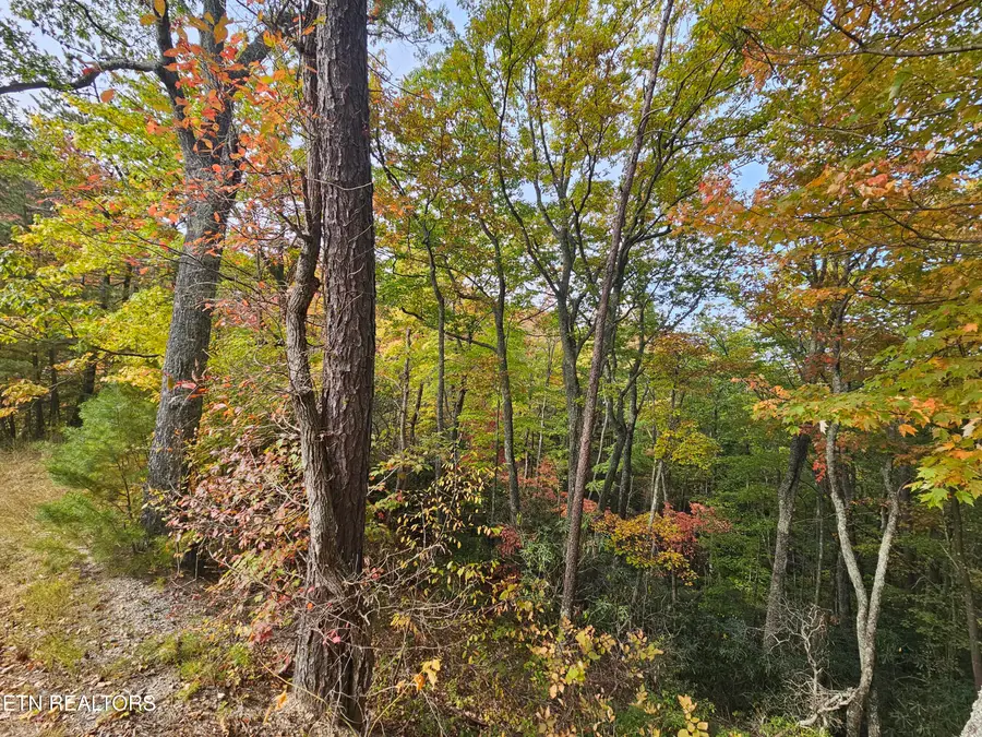 Denton Court, Sevierville, TN 37862 - Image #3