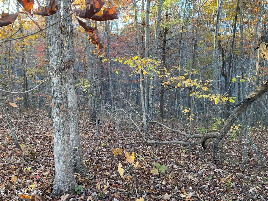 Cumberland View Drive, Crossville, TN 38571 - Image #2