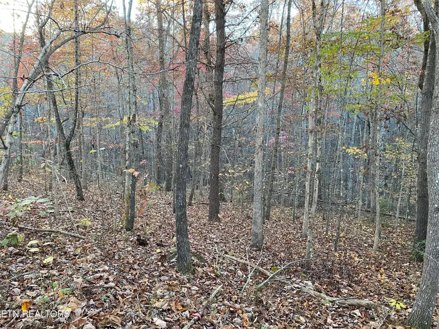 Cumberland View Drive, Crossville, TN 38571 - Image #3