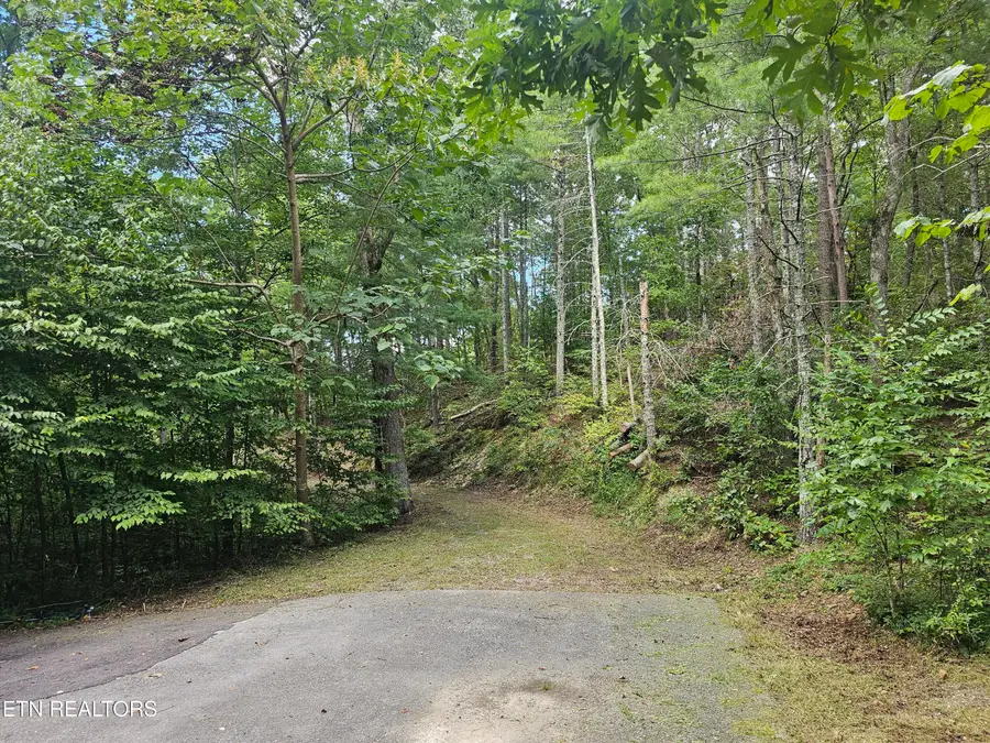 231 Low Gap Tr, Townsend, TN 37882 - Image #2