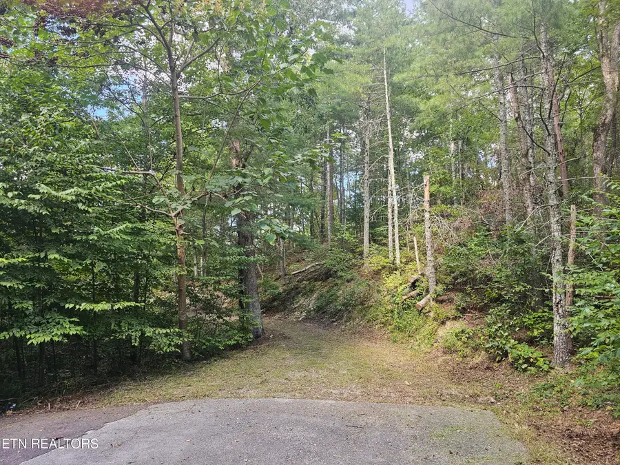 231 Low Gap Tr, Townsend, TN 37882 - Image #3