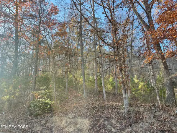 0 Holiday Lane, Jellico, TN 37762