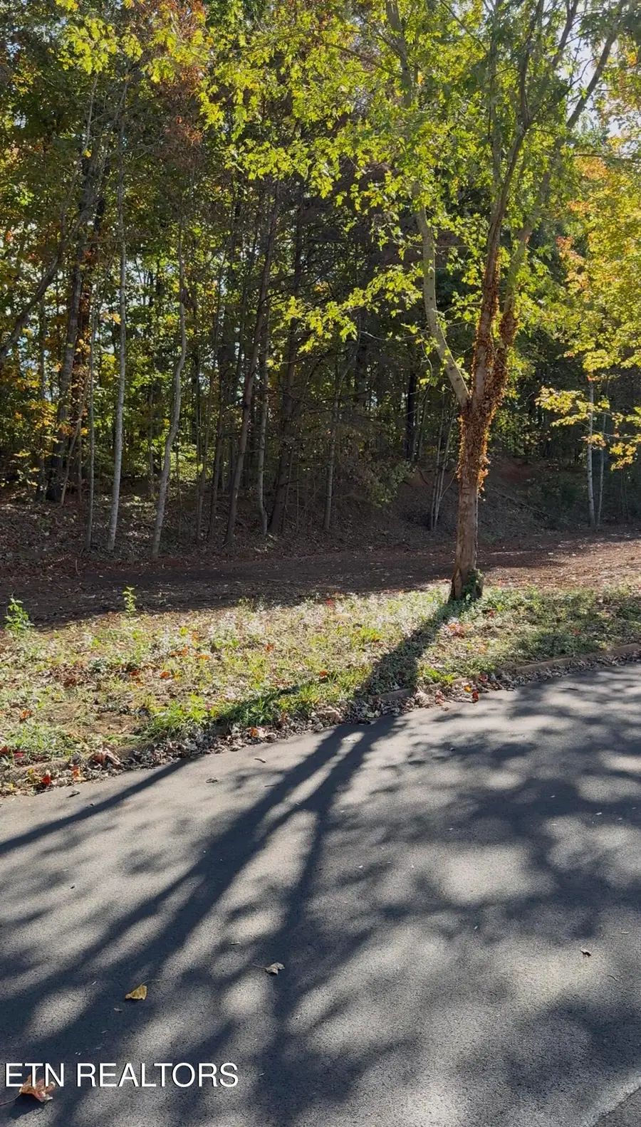 0 Miller Circle, Seymour, TN 37865 - Image #3