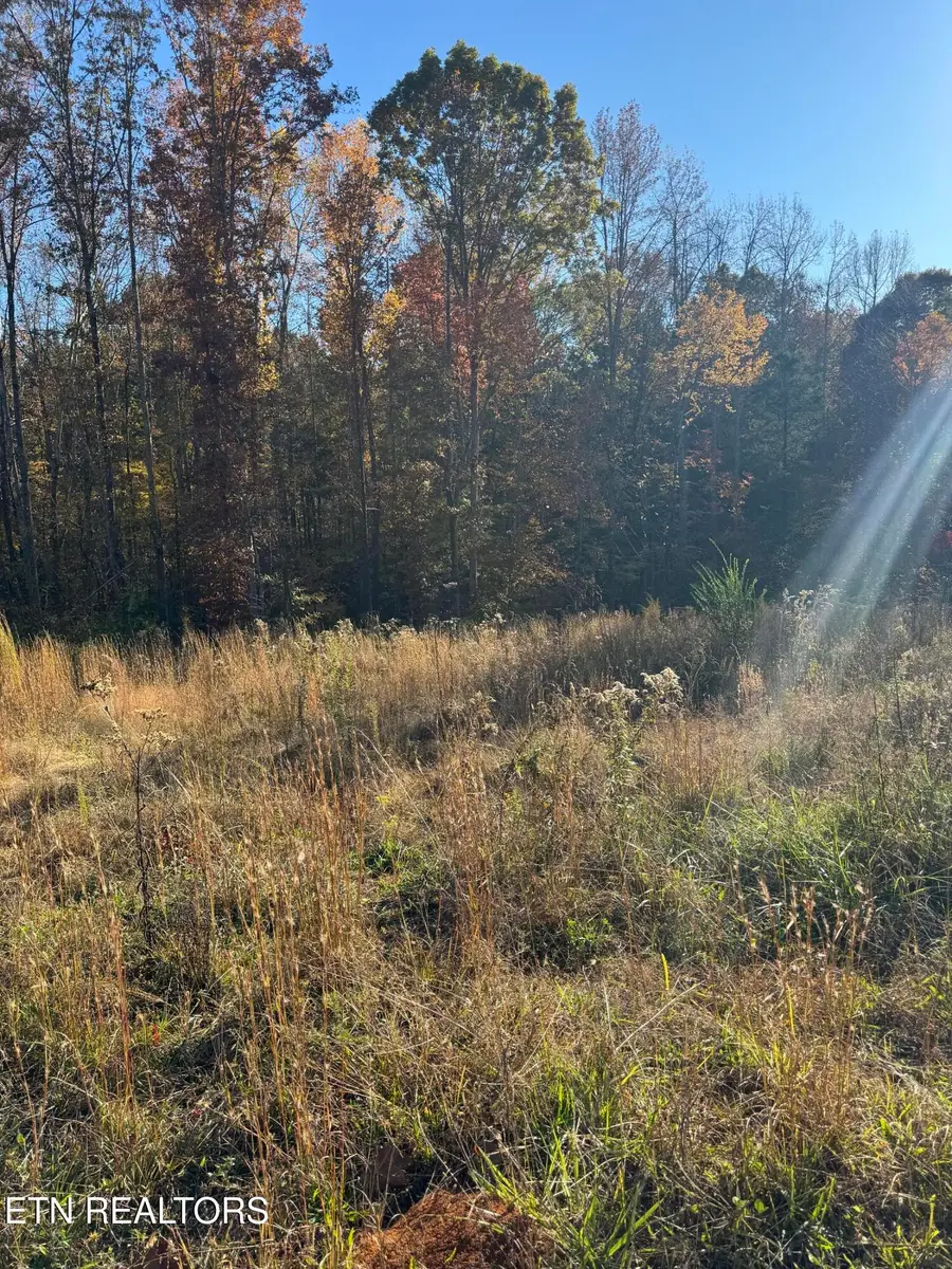 320 Shadows Lawn Drive, Athens, TN 37303 - Image #2