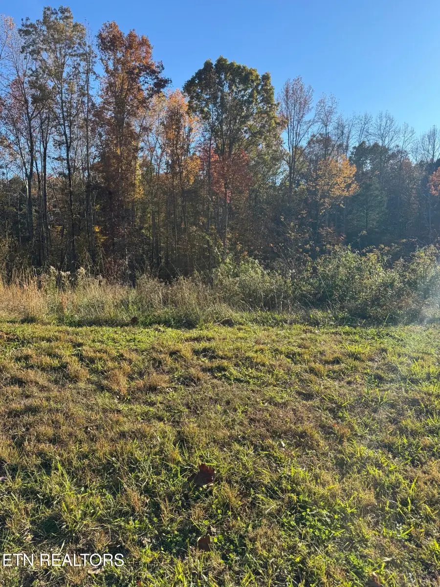 320 Shadows Lawn Drive, Athens, TN 37303 - Image #3