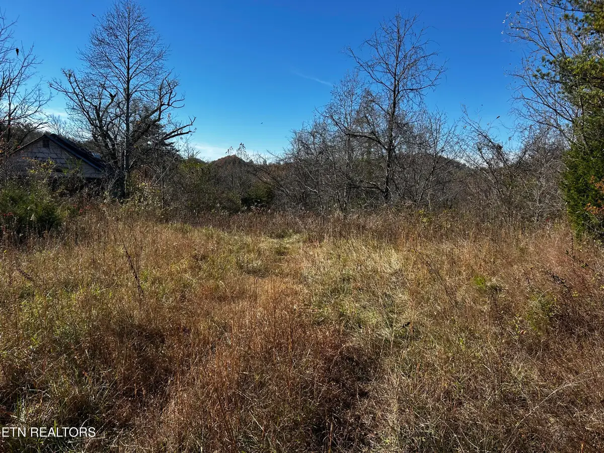 Shadden Road Lot 1, Tellico Plains, TN 37385 - Image #1