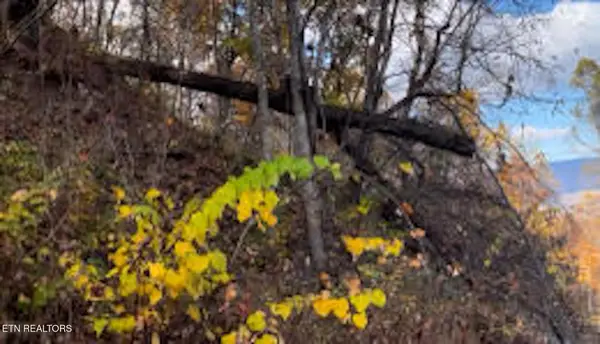 Emerald Springs Loop, Sevierville, TN 37862