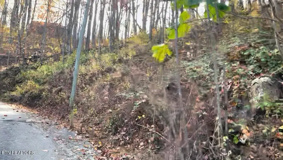Emerald Springs Loop, Sevierville, TN 37862 - Image #3