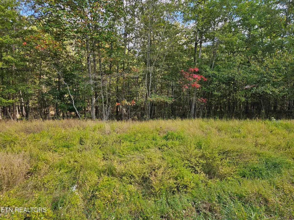 00 Holly Lane Lane, Spencer, TN 38585 - Image #1