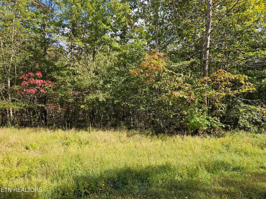 00 Holly Lane Lane, Spencer, TN 38585 - Image #2