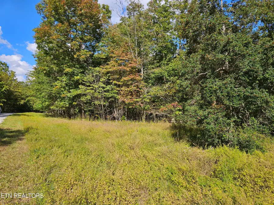 00 Holly Lane Lane, Spencer, TN 38585 - Image #3