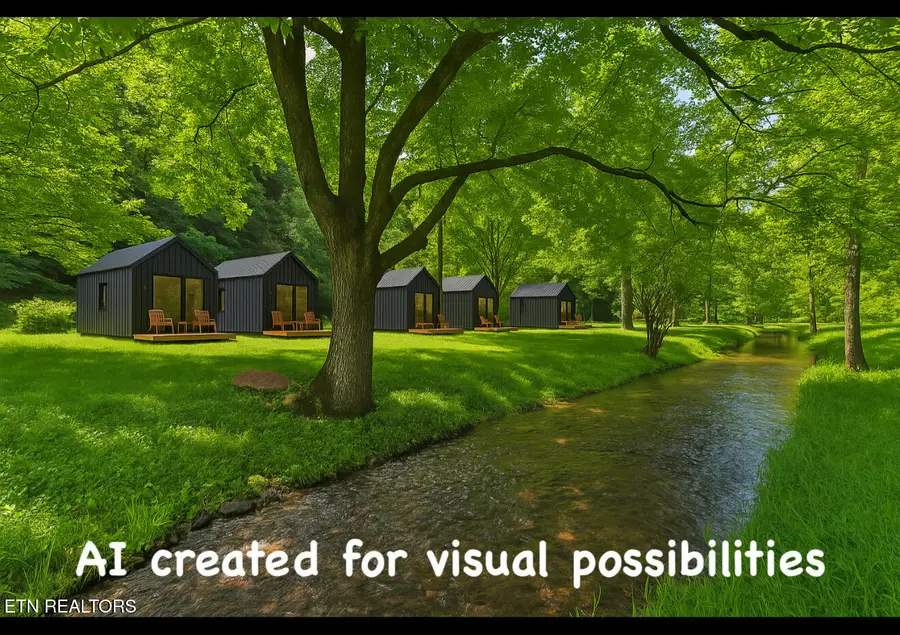 553 Caney Creek Rd, Pigeon Forge, TN 37863 - Image #2