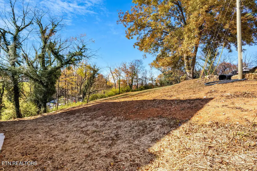 923 Turner St, Knoxville, TN 37917 - Image #2