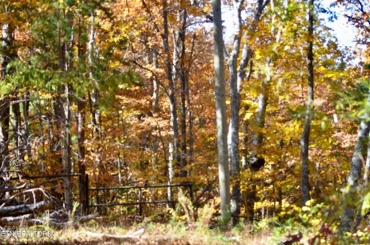Little Round Top Way, Townsend, TN 37882 - Image #1