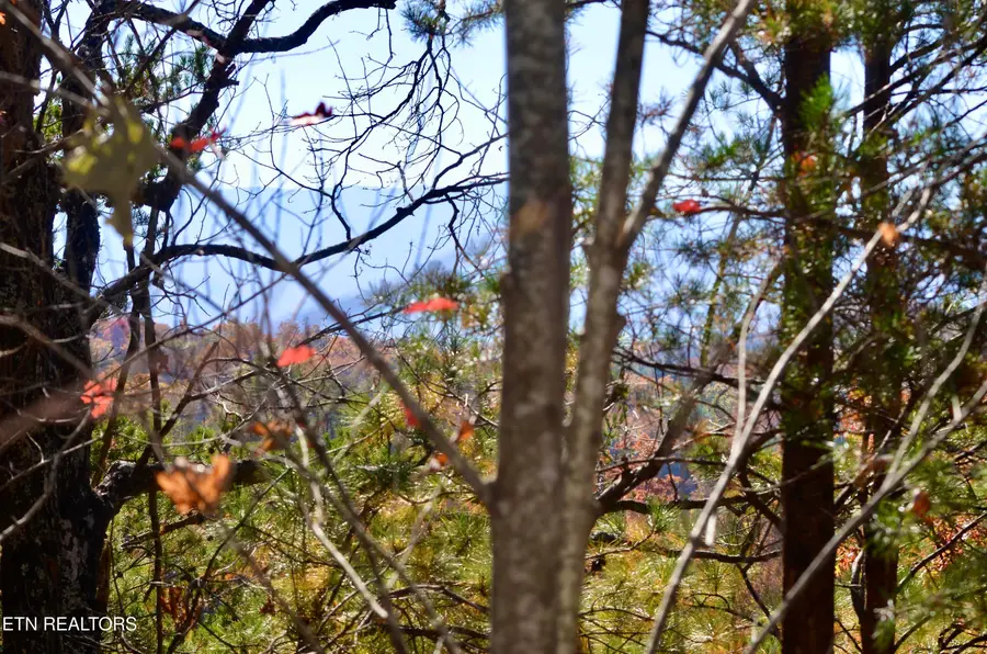 Little Round Top Way, Townsend, TN 37882 - Image #2