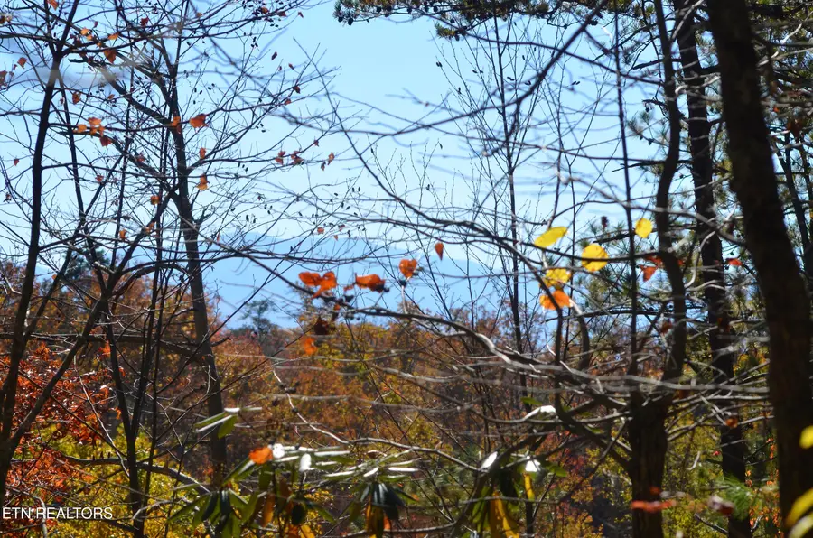 Little Round Top Way, Townsend, TN 37882 - Image #3