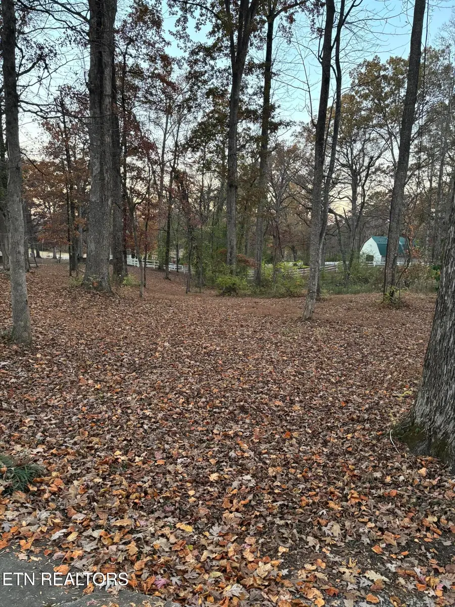 201 Ridge Rd, Maryville, TN 37803 - Image #3