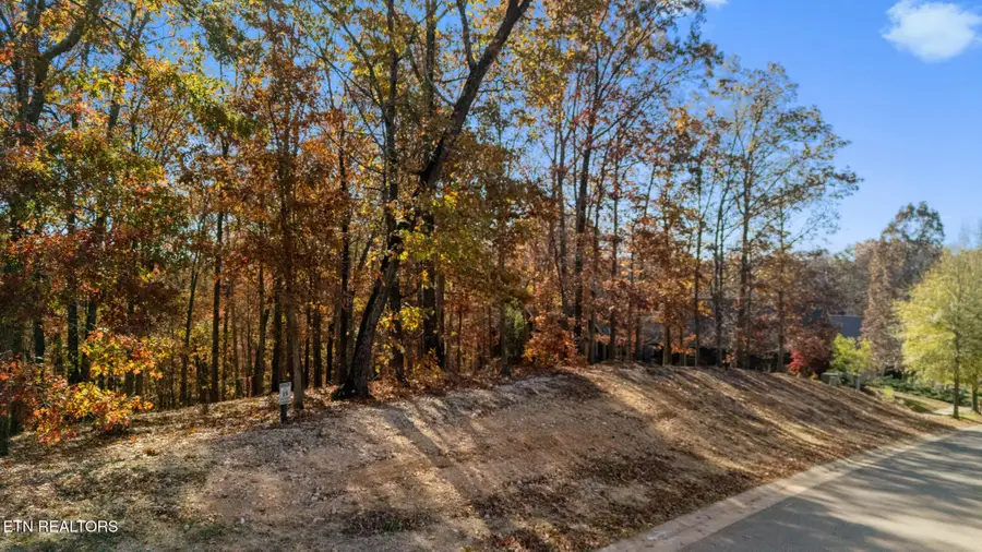 2148 Old Dogwood Tr, Loudon, TN 37774 - Image #3