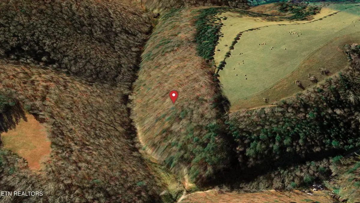 Ramsey Hollow Rd, Harrogate, TN 37752 - Image #1