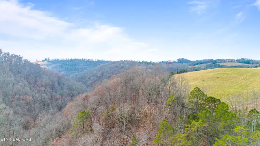 Ramsey Hollow Rd, Harrogate, TN 37752 - Image #3