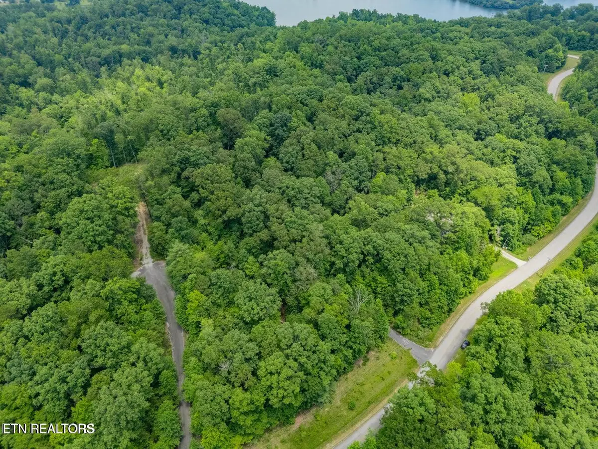 Crystal Springs Rd, Rockwood, TN 37854 - Image #1
