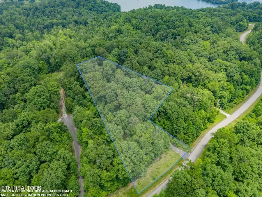 Crystal Springs Rd, Rockwood, TN 37854 - Image #3