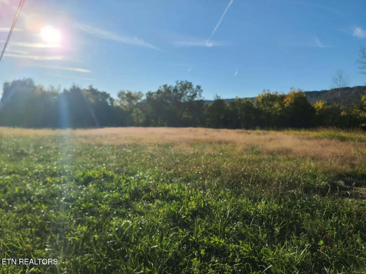 2580 Cawood Rd, Spring City, TN 37381 - Image #1