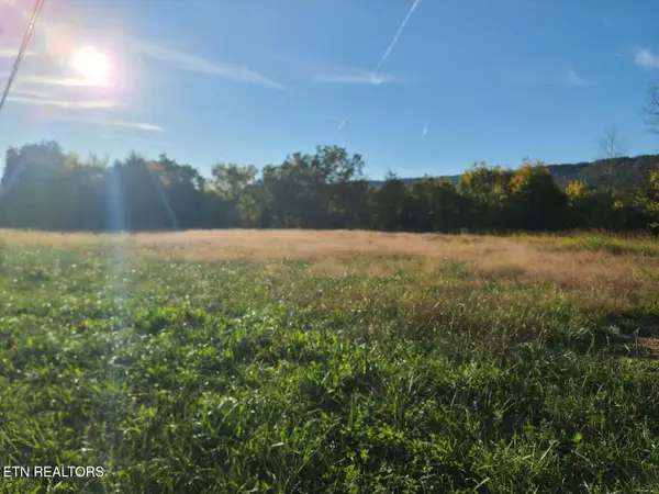 2580 Cawood Rd, Spring City, TN 37381