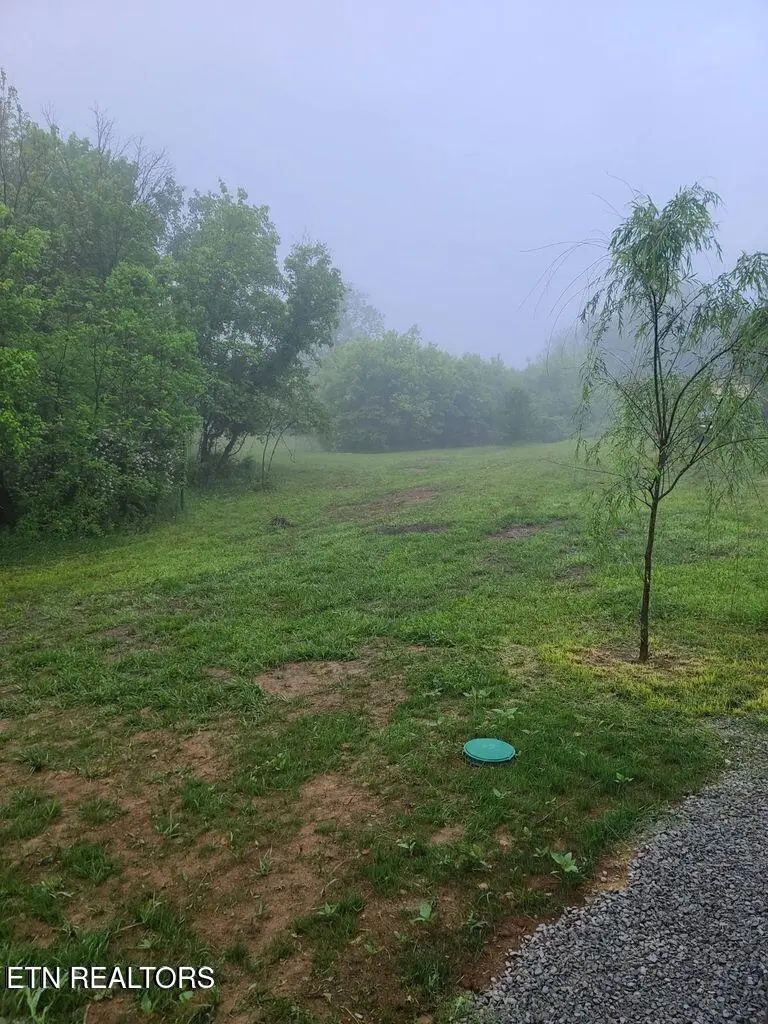 2580 Cawood Rd, Spring City, TN 37381 - Image #2