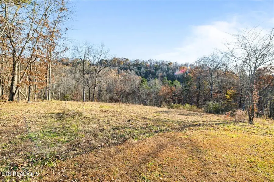 900 Powell Valley Shores Circle, Speedwell, TN 37870 - Image #3