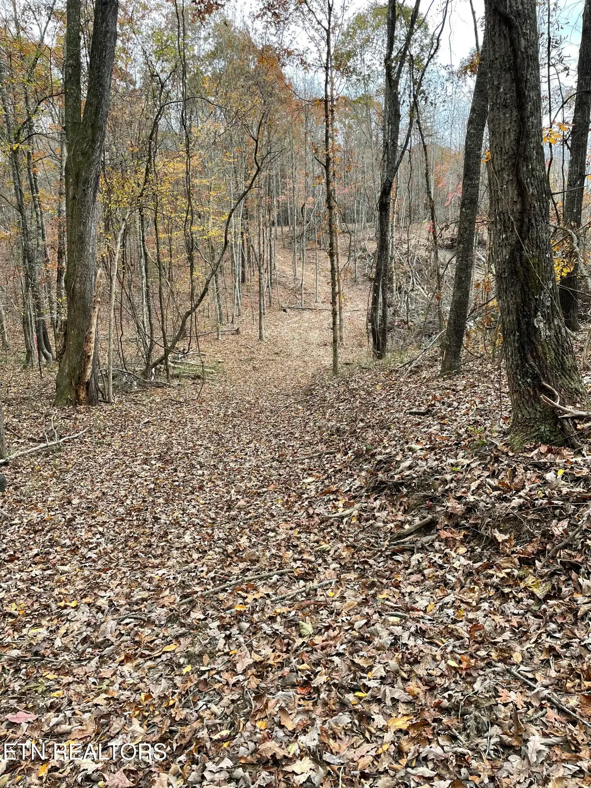 300 Ivy Moore Circle, Decatur, TN 37322 - Image #1