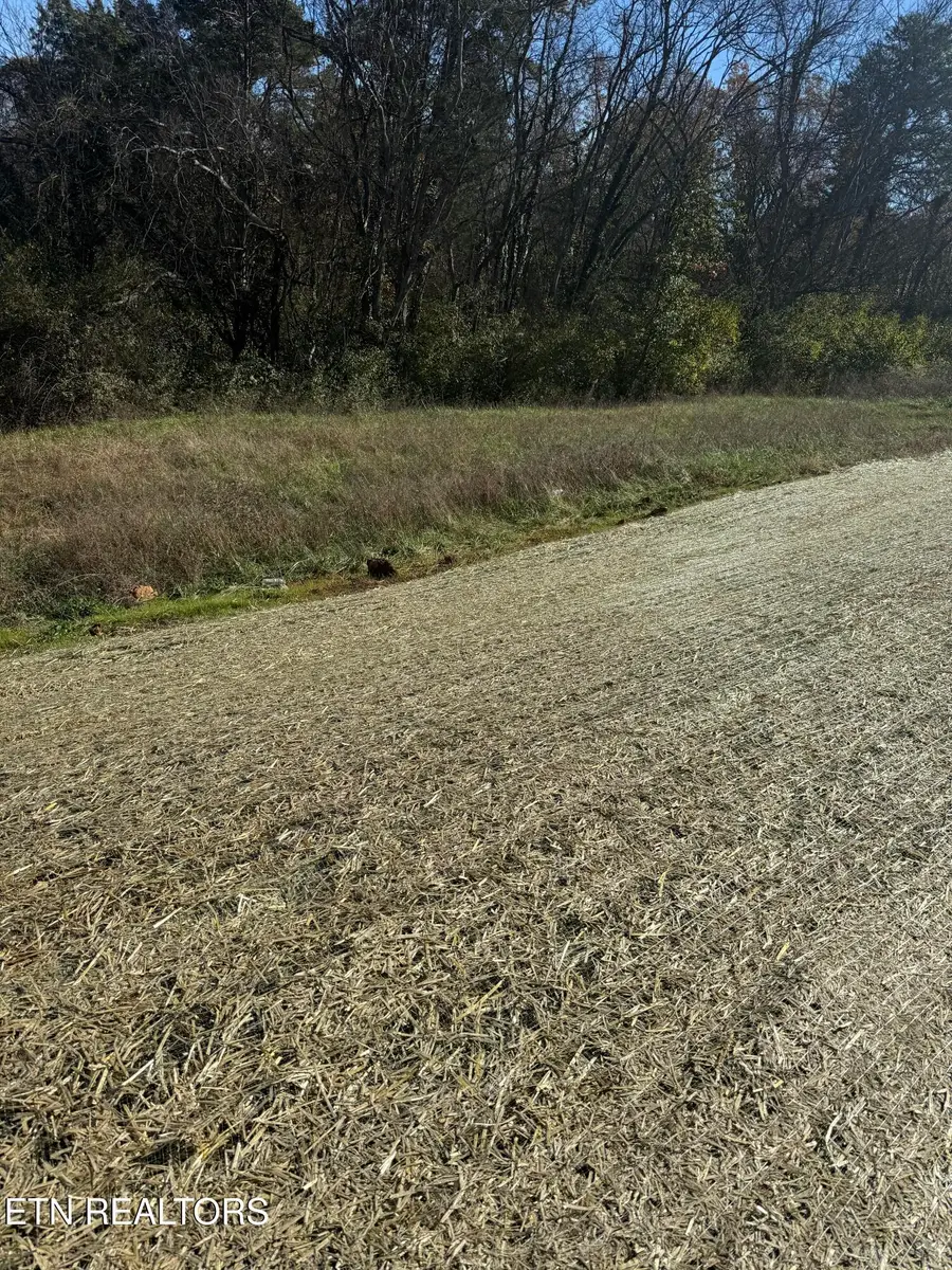 1726 Bennett Village Drive, Maryville, TN 37804 - Image #2