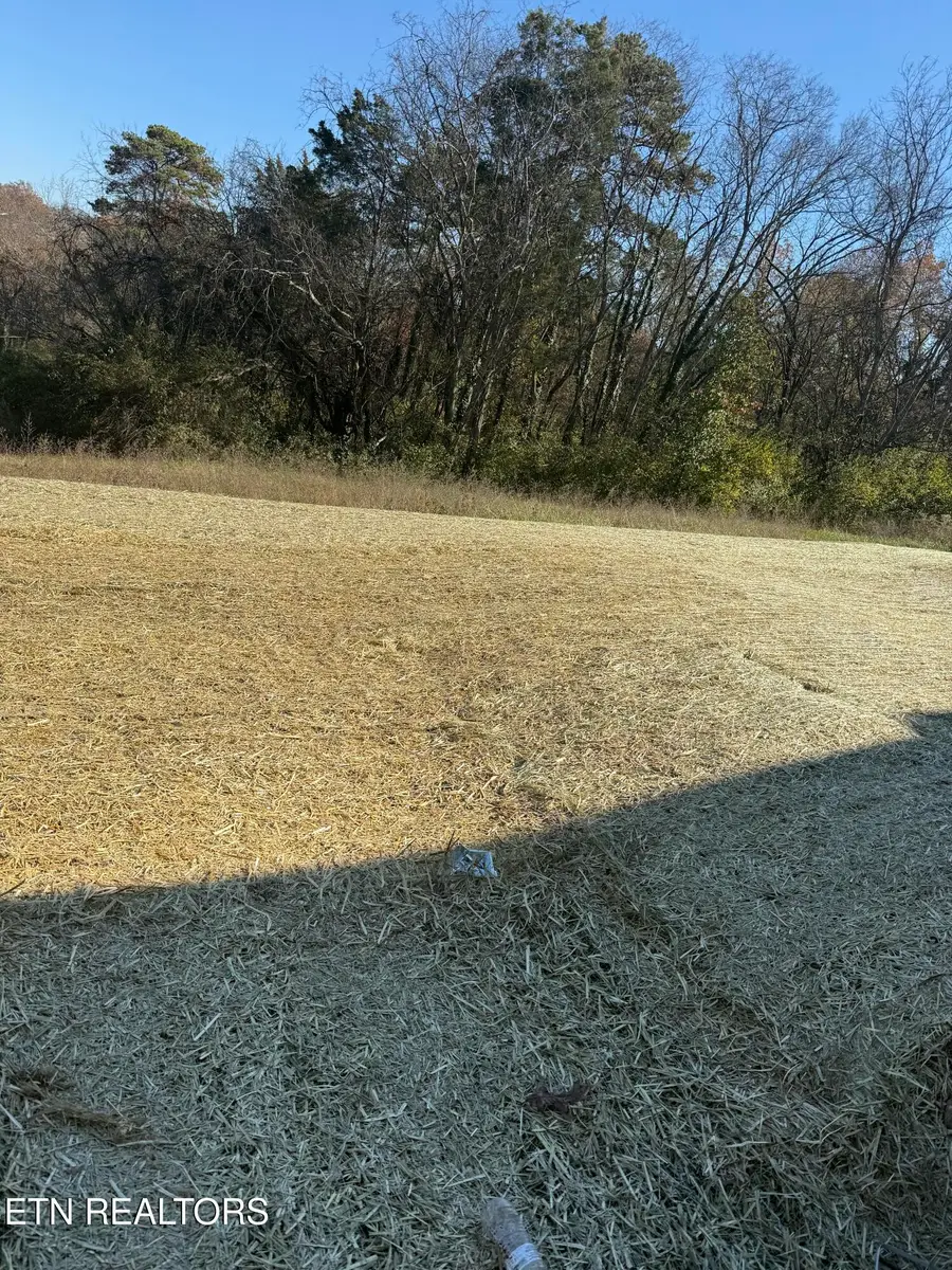 1726 Bennett Village Drive, Maryville, TN 37804 - Image #3