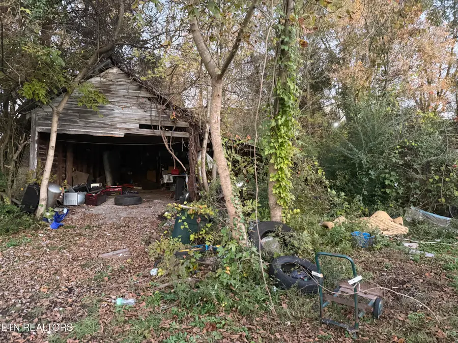 123 Baumgartner Rd, Harriman, TN 37748 - Image #3