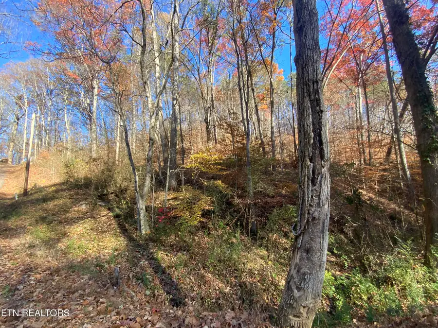 Mountain Side Lane, Rocky Top, TN 37769 - Image #2