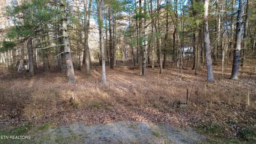 6058 Loch Loosa Drive, Crossville, TN 38572 - Image #2