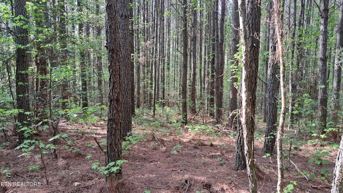 Lot 14 Airport Rd (pca), Rockwood, TN 37854 - #1