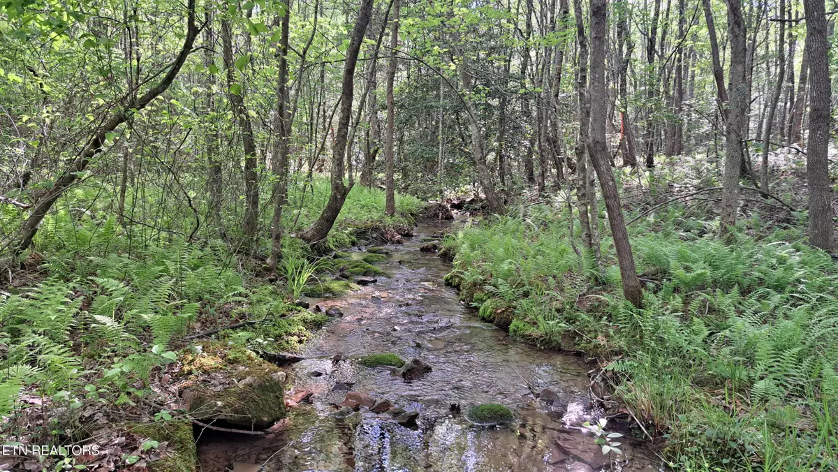 Lot 20 Airport Rd (pca), Rockwood, TN 37854 - #1