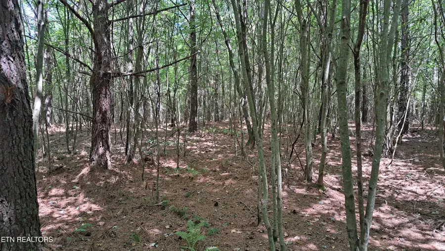 Lot 20 Airport Rd (pca), Rockwood, TN 37854 - #3