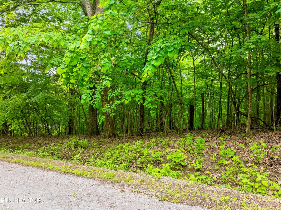 Running Deer Tr, Caryville, TN 37714 - Image #2