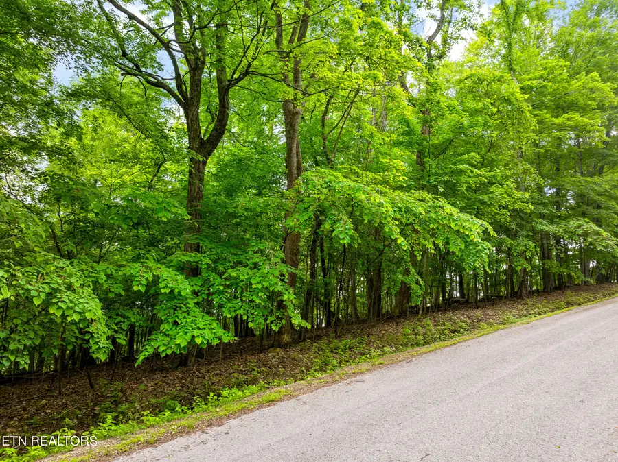 Running Deer Tr, Caryville, TN 37714 - Image #3