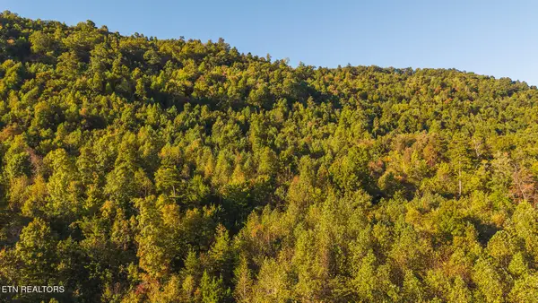 0 Black Valley Rd, Sneedville, TN 37869