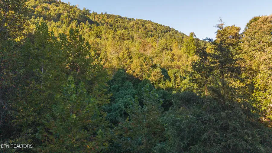 0 Black Valley Rd, Sneedville, TN 37869 - Image #2