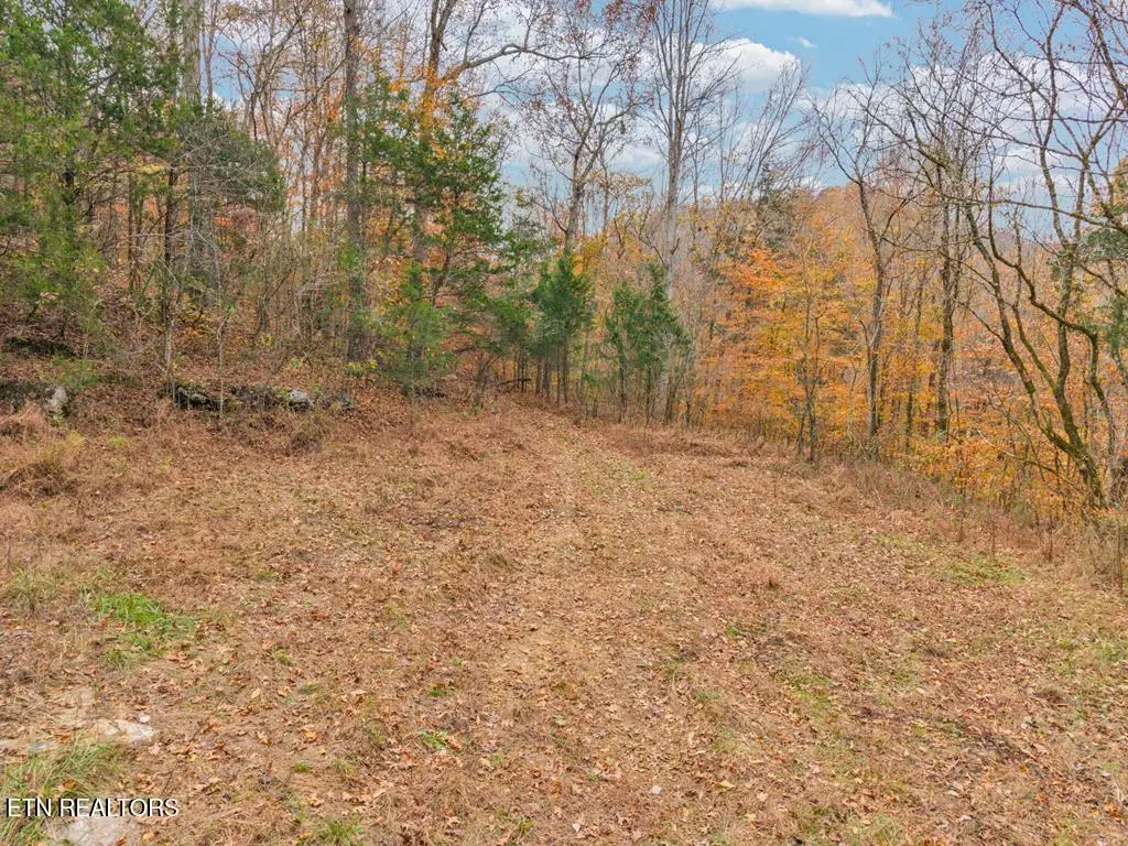 0 Ensor Hollow Rd, Buffalo Valley, TN 38548 - Image #1